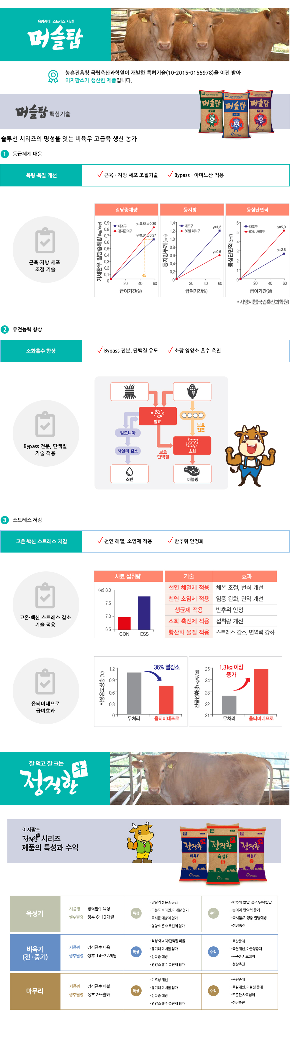 비육우