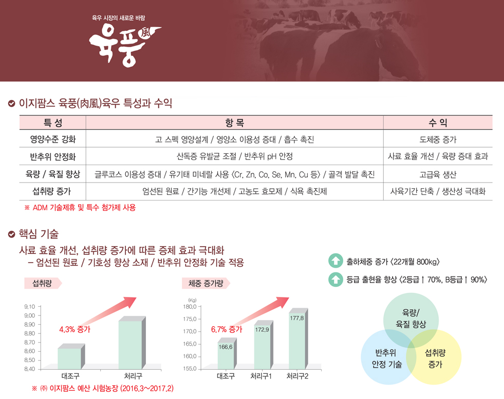 비육우